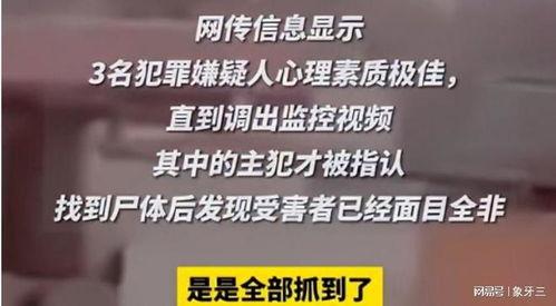 河北三名初中生爆料新闻,揭开校园内幕，勇敢发声引关注